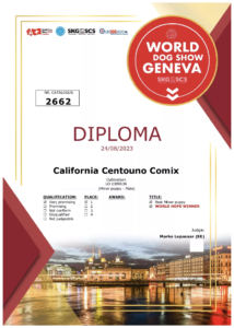 diploma