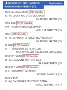 CAD Winner Raduno Dalmata
